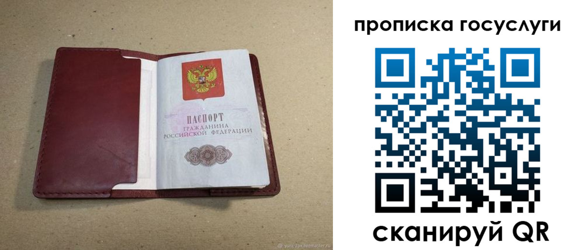 прописка поиск в Владимирской области